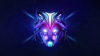 Cool Wolf Wallpaper 4K