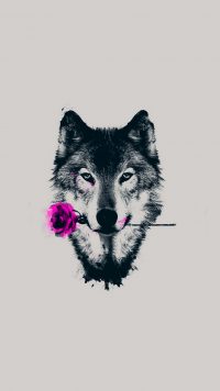 Cool Wolf Wallpaper 8