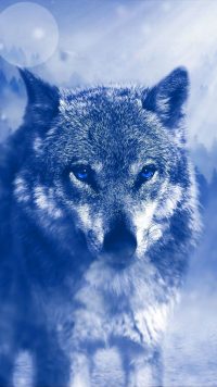 Cool Wolf Wallpaper 9