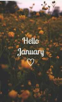 Hello January Background