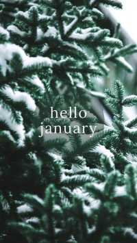 Hello January Wallpaper 2