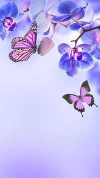 Butterfly Wallpaper 1