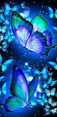 HD Butterfly Wallpaper 3