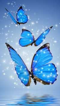 HD Butterfly Wallpaper 7