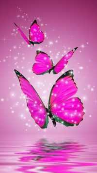 Butterfly Wallpaper 10