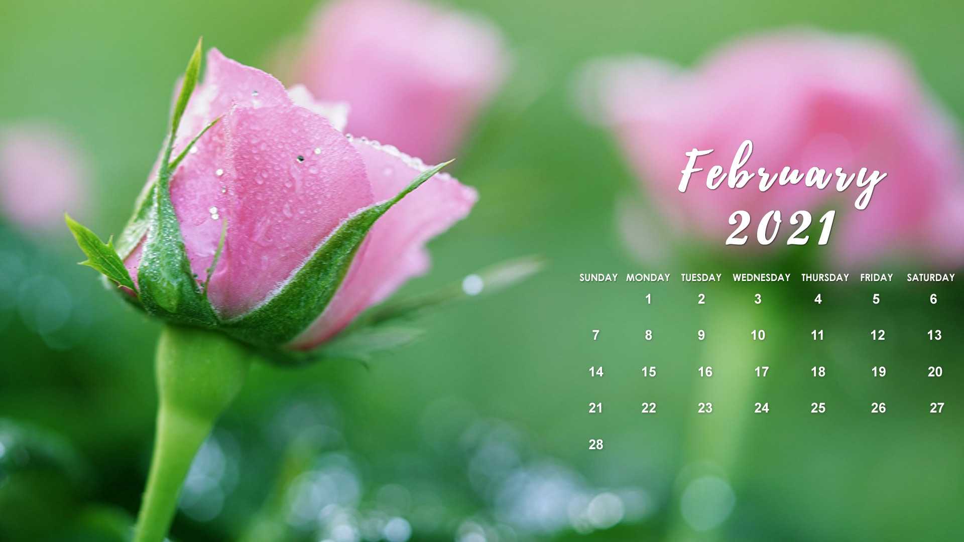 February 2021 Phone Wallpaper : February 2021 Flowers Desktop Calendar Free February Wallpaper ...