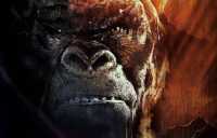 HD King Kong Wallpaper 2