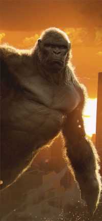 King Kong Wallpaper iPhone 2