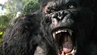 King Kong Wallpapers HD 2