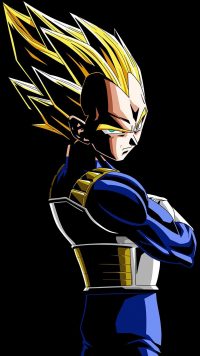 Majin Vegeta Wallpaper