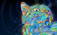 Psychedelic Cat Wallpaper