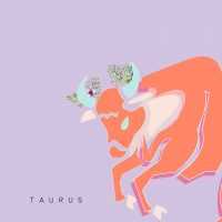 Taurus Background 3