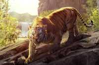 Tiger Wallpapers 3