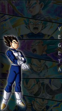 Vegeta Background