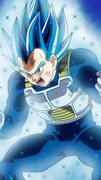 Vegeta Blue Wallpaper 2