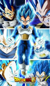 Vegeta Blue Wallpaper