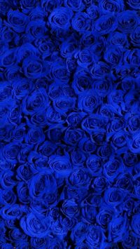 Blue Wallpaper 7