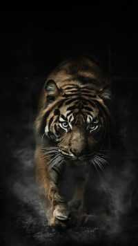 iPhone Tiger Wallpaper 2