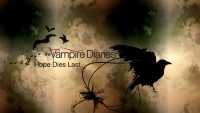 Vampire Diaries Background 2