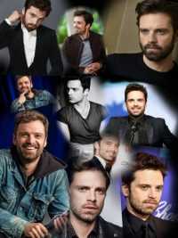 Sebastian Stan Wallpaper 6