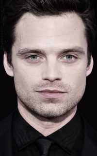 Sebastian Stan Wallpaper 2