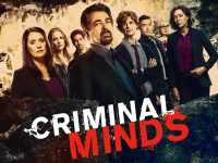 Criminal Minds Wallpaper 6