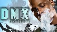 DMX Wallpaper 5