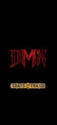 DMX Wallpaper Phone 4