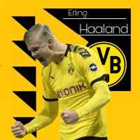 Haaland BVB Background 3