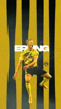 Haaland BVB Wallpaper 7