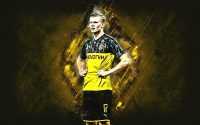 Haaland BVB Wallpaper 3