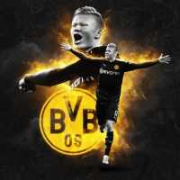 Haaland BVB Wallpapers 6