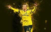 Haaland BVB Wallpapers 5