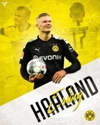 Haaland BVB Wallpapers 4