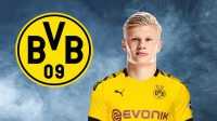 Haaland BVB Wallpapers 3