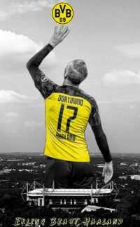 Haaland Dortmund Wallpaper 3