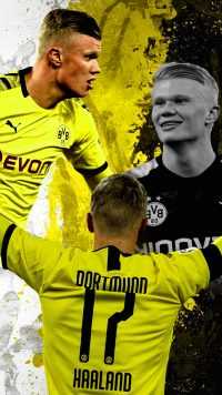 Haaland Dortmund Wallpaper 5