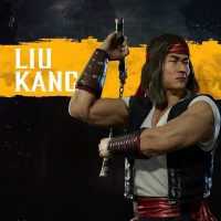 Liu Kang Background 9