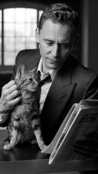 Tom Hiddleston Cat Wallpaper 4