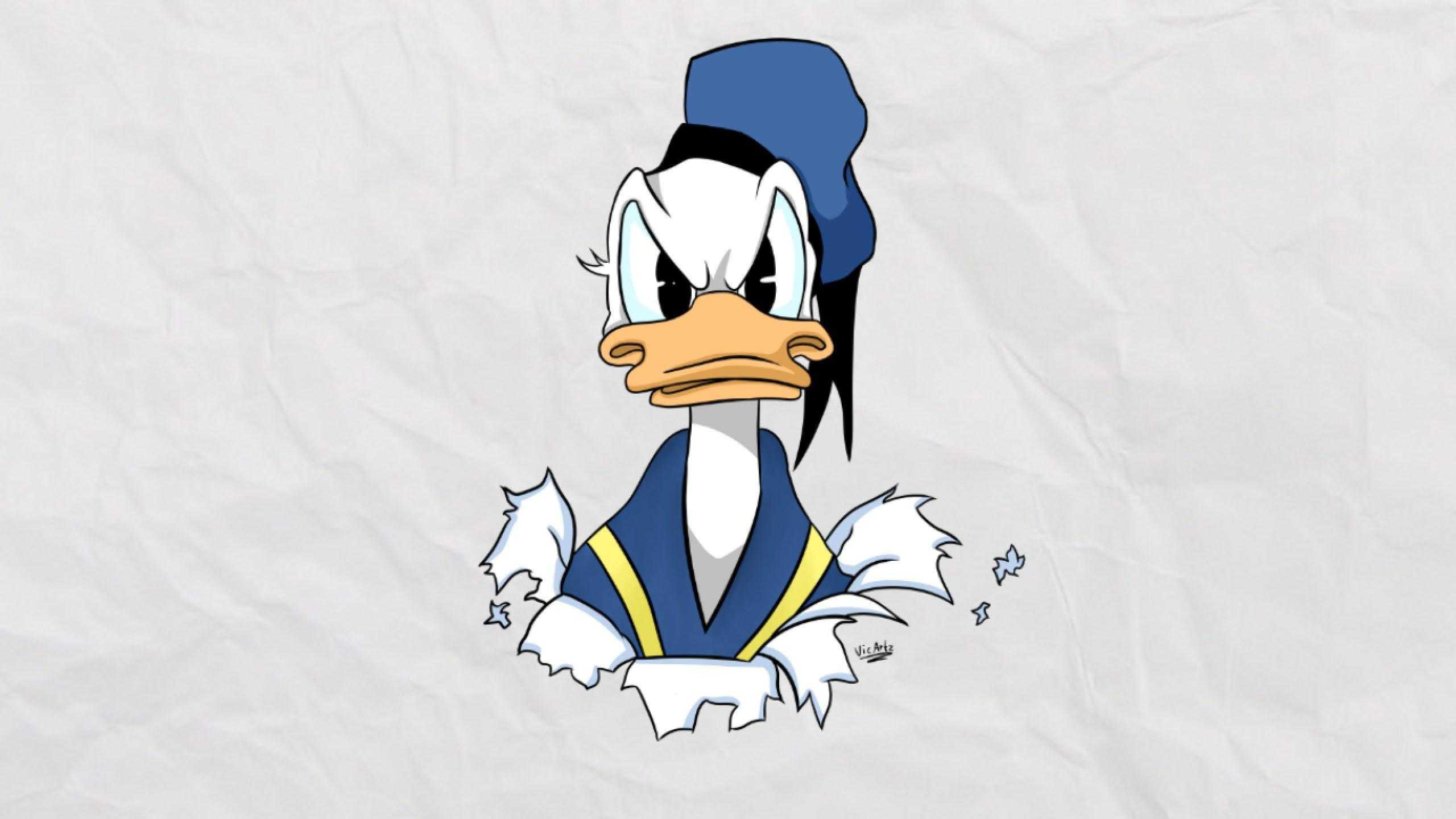 Angry Donald Duck Wallpaper - KoLPaPer - Awesome Free HD Wallpapers