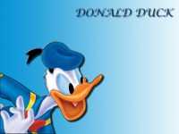 Donald Duck Wallpaper 4