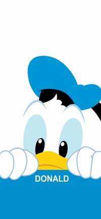 Donald Duck Wallpaper 3