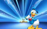 Donald Duck Wallpaper Laptop 7