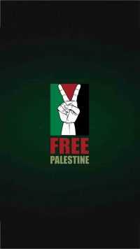 Free Palestine Wallpaper 9