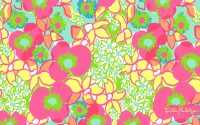 Lilly Pulitzer Wallpaper Computer 2