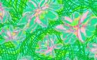 Lilly Pulitzer Wallpaper Desktop 10