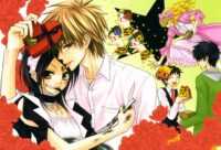 Maid Sama Wallpaper 6