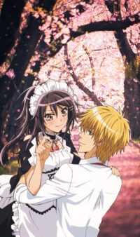 Maid Sama Wallpaper 5