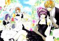 Maid Sama Wallpaper 1