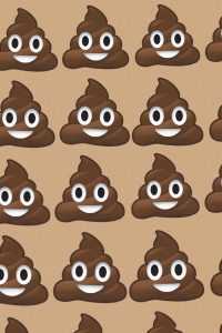 Poop Wallpaper 1